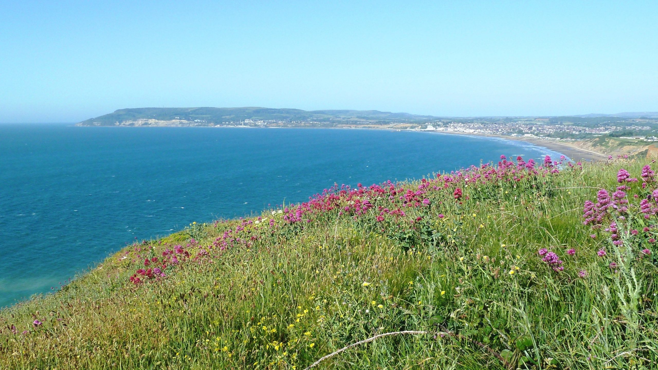View over Sandown Bay